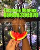 Анкета проститутки Забава - метро Замоскворечье, возраст - 29